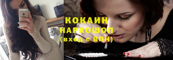 мдпв Осинники