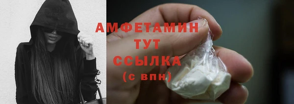 мдпв Осинники