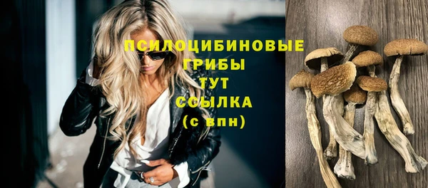 мдпв Осинники