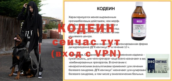 мдпв Осинники
