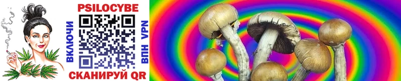 Галлюциногенные грибы Psilocybine cubensis  купить закладку  Судак 